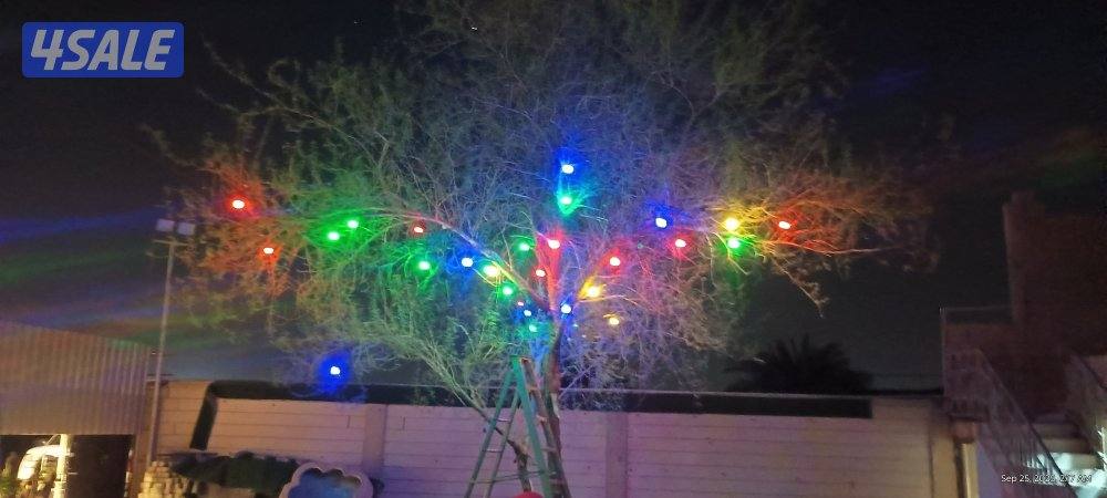 كهربائى لجميع أعمال الكهرباء 

if you need call me all area9