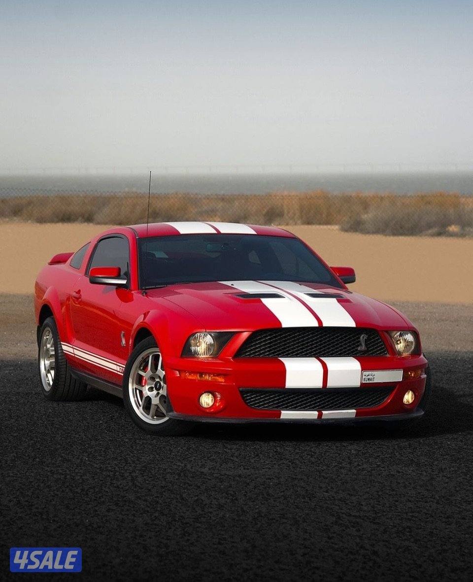 للبيع موستنق شلبي 20070