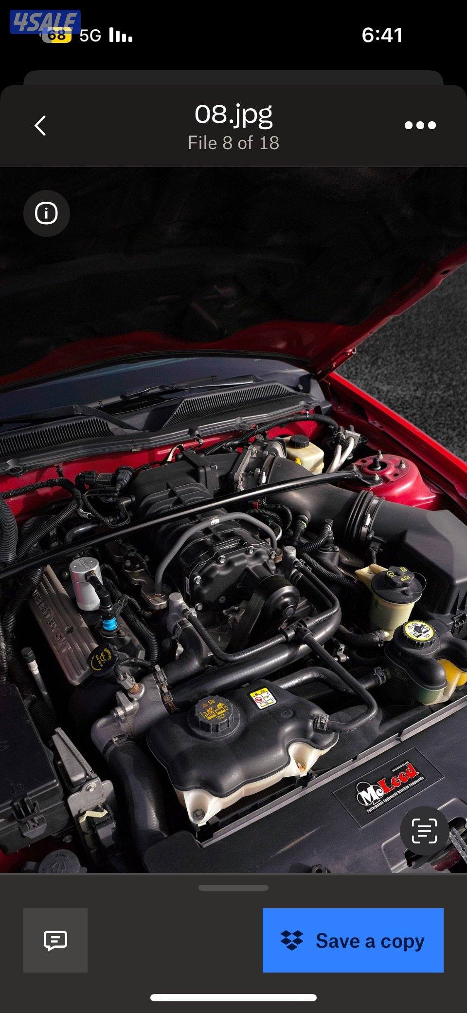 للبيع موستنق شلبي 20075