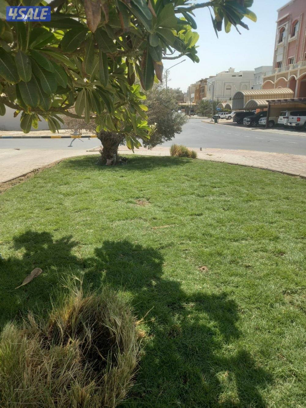 ابو رزان لتنسيق الحدائق4