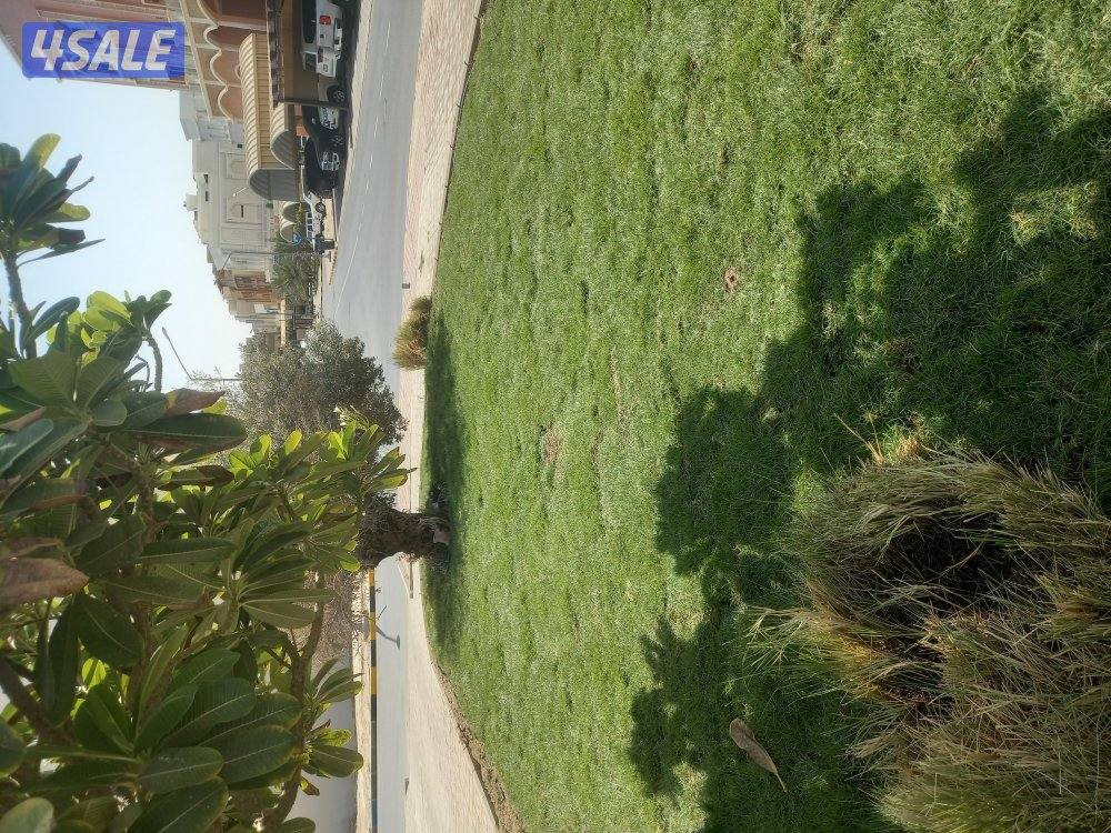 ابو رزان لتنسيق الحدائق12