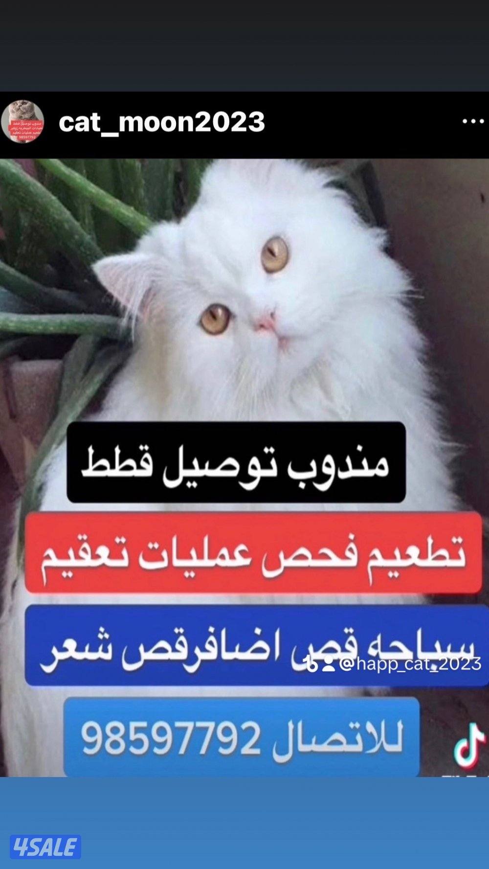 مبارك الكبير الكويت3