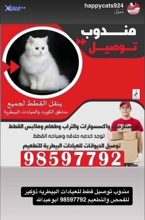 مبارك الكبير الكويت2