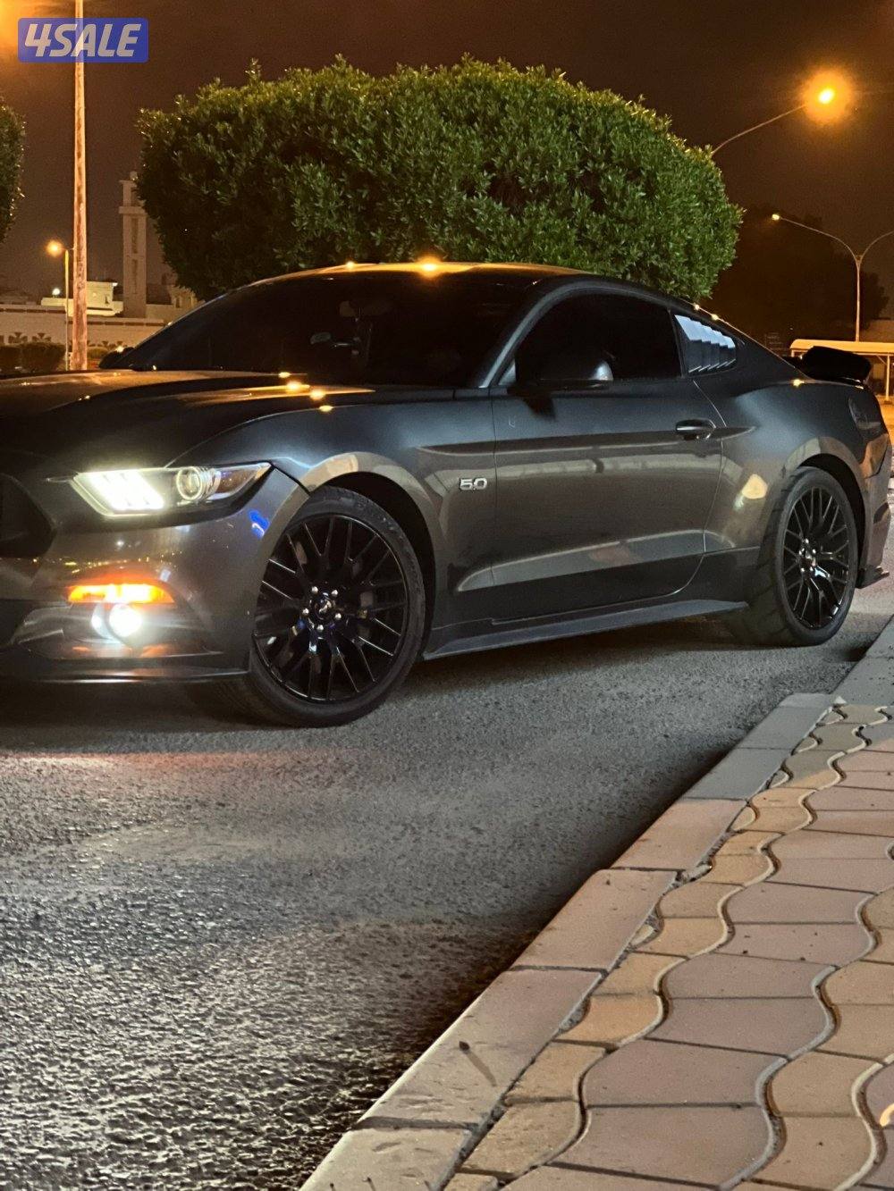 للبيع موستنق0