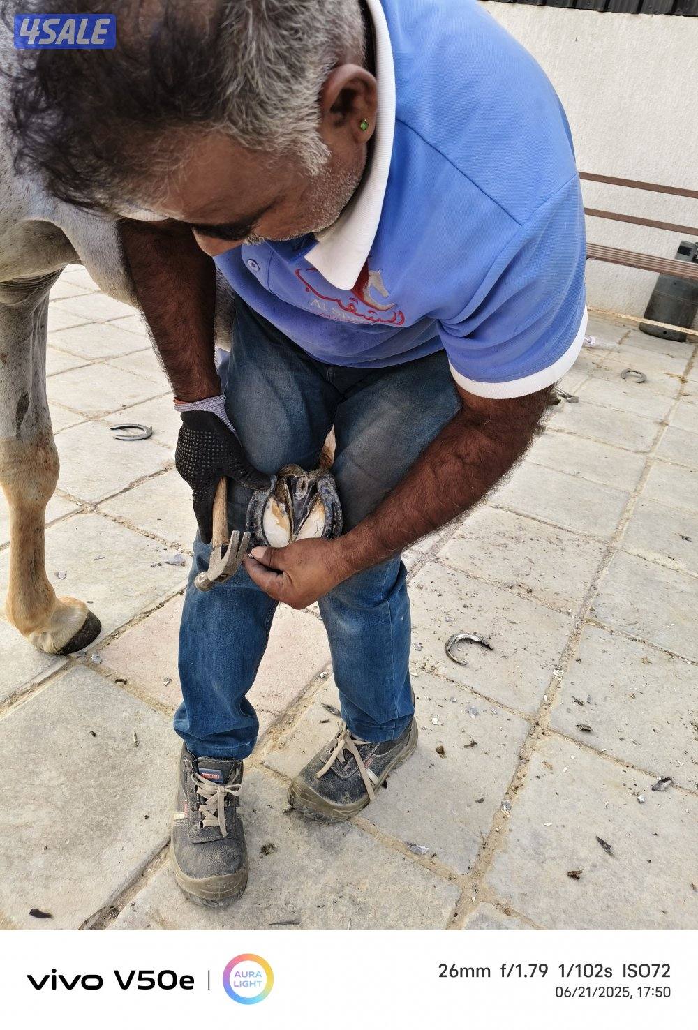 FARRIER ENDURANCE HOT 🔥2