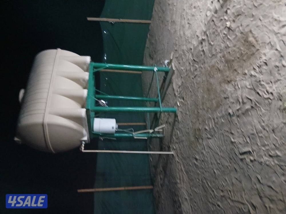 افغانی  نور صحی8