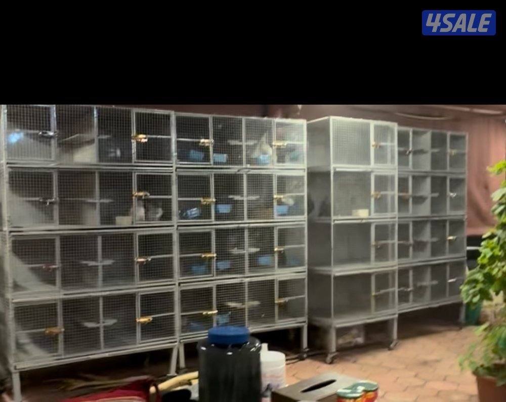 خانات حمام نظيفه تواصل وتساب0