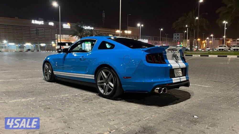 موستنق شلبي ٢٠١٠1