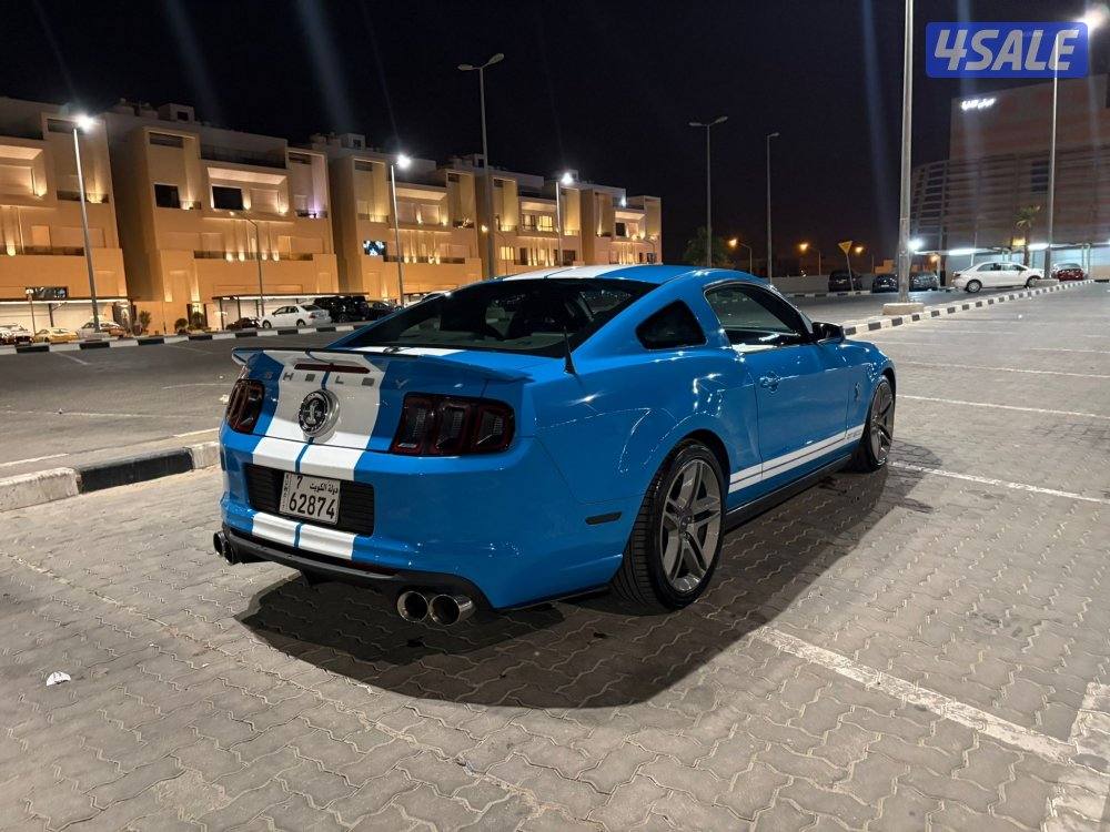 موستنق شلبي ٢٠١٠2