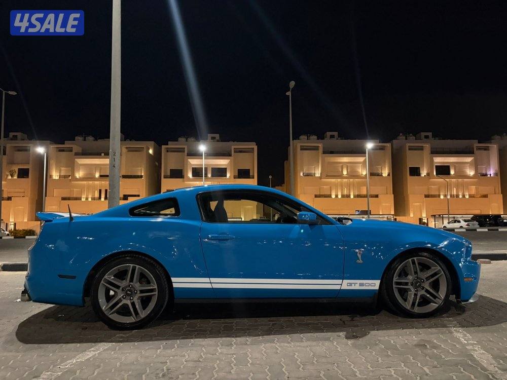 موستنق شلبي ٢٠١٠3