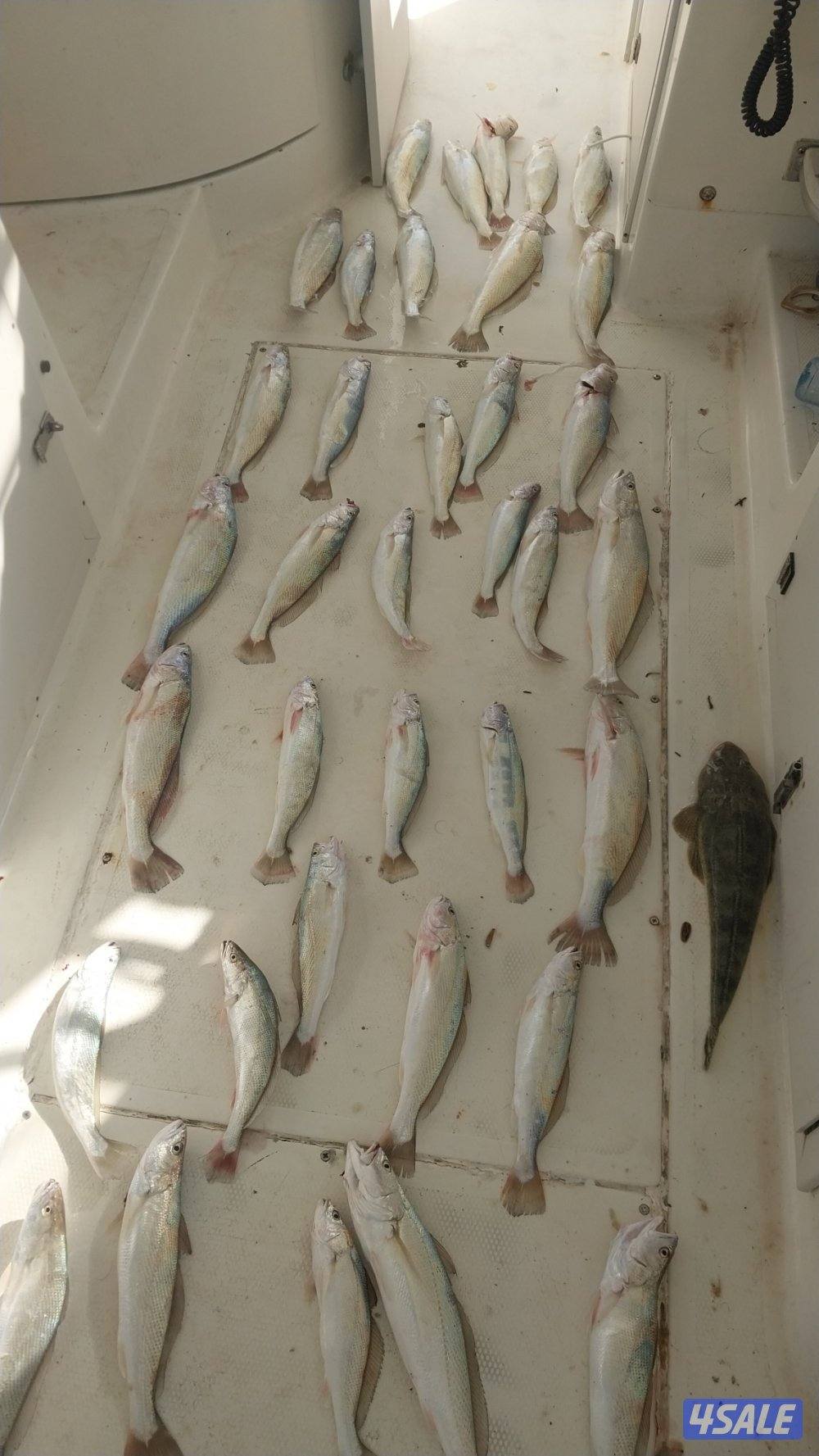 ايجار طراد رحلات بحريه4