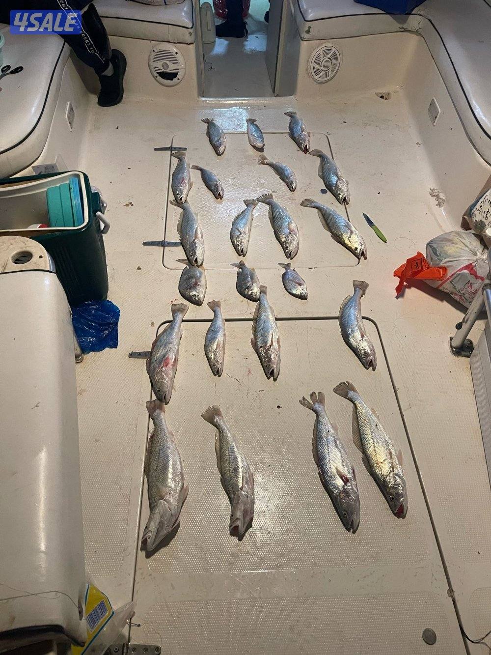 ايجار طراد رحلات بحريه8