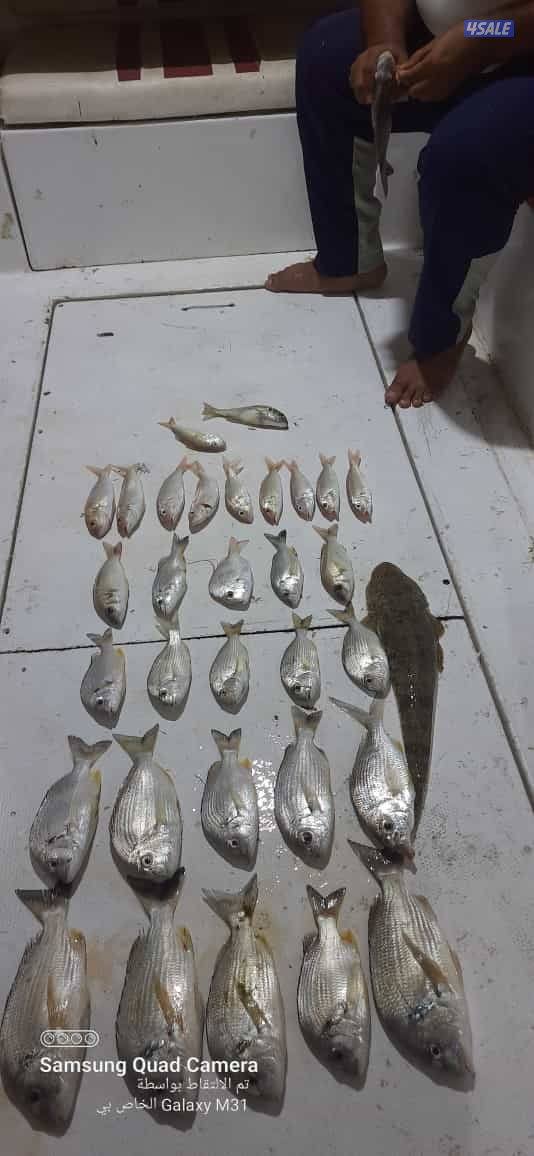 للإيجار رحلات حداق وتوصيل فيلكا4