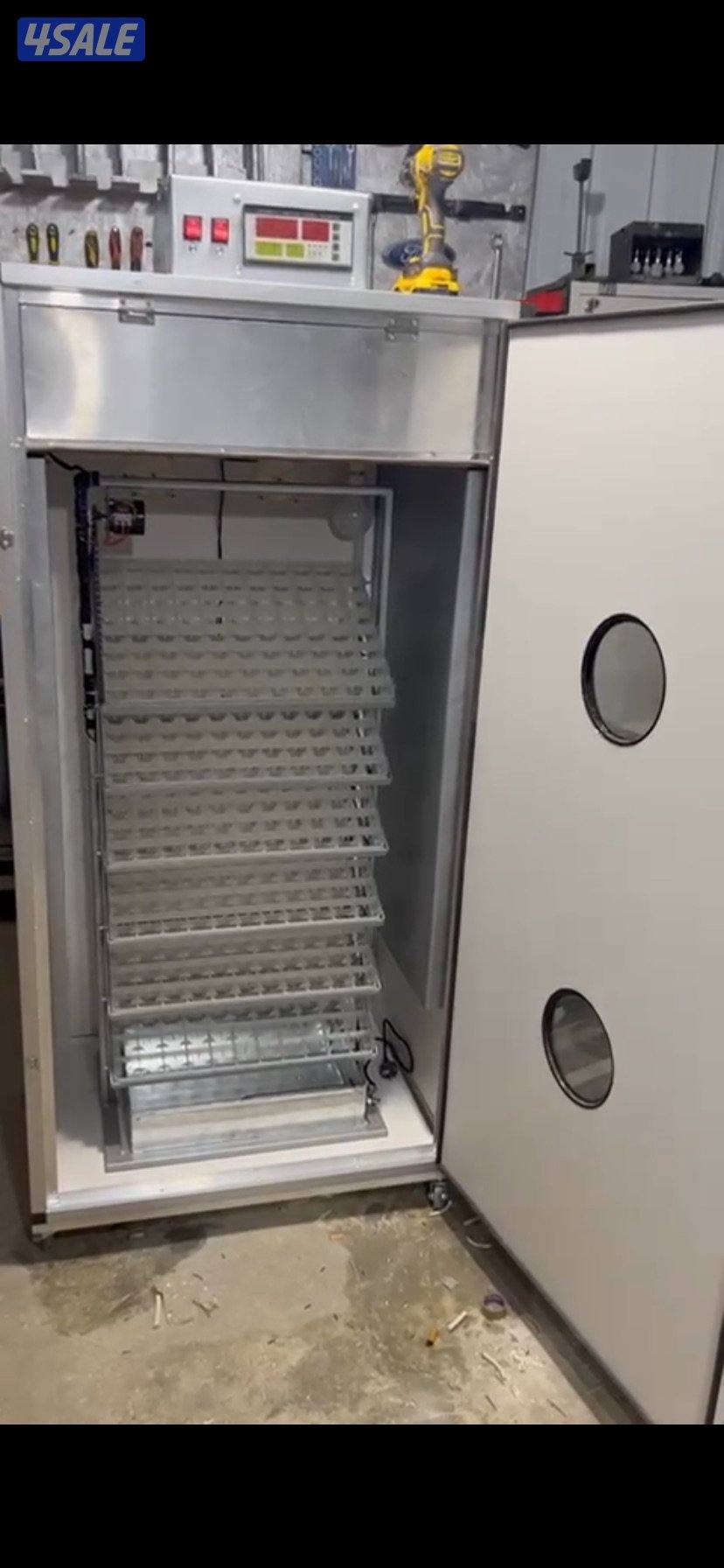 للبيع مجاميع دجاج عربي وللبيع فقاسه1