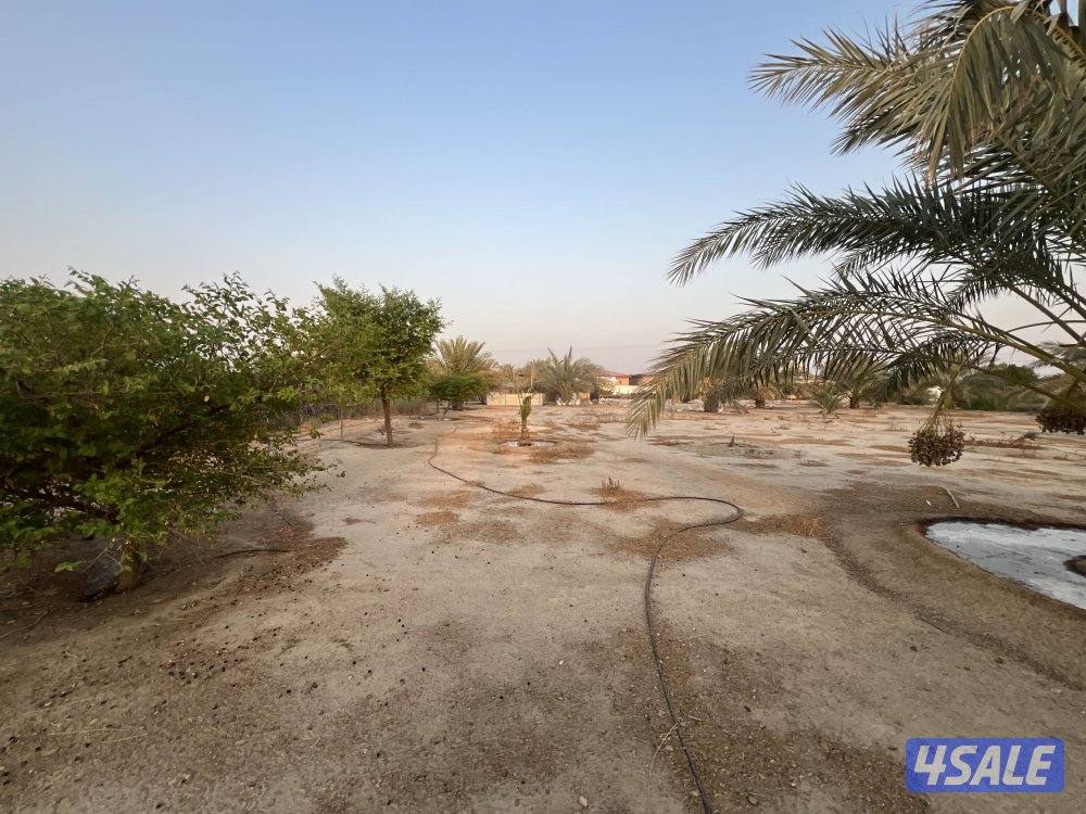 مزرعه للاجار6