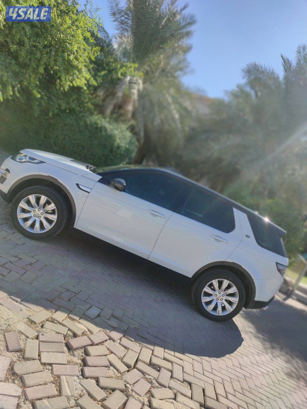 المالك الاول مصبوغ قطعتين تجميلي1