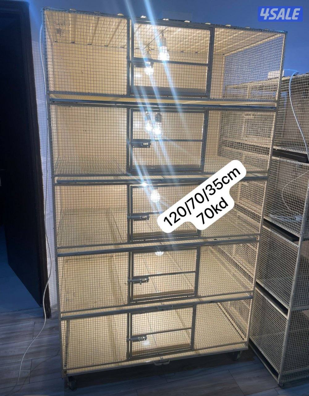 حضانة صيصان عالطلب3