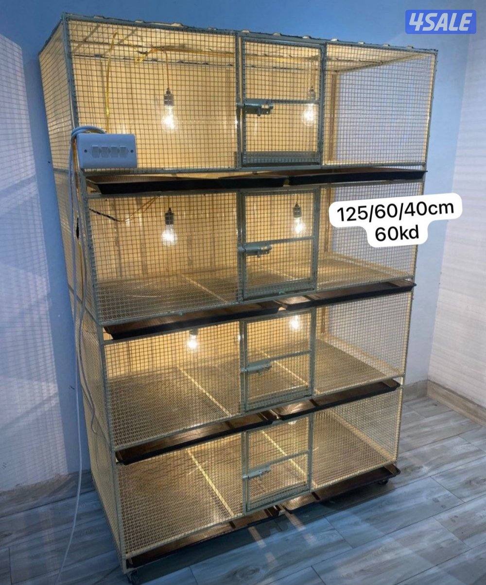 حضانة صيصان عالطلب6