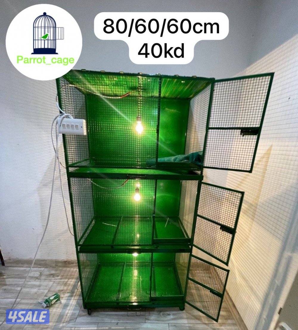 حضانة صيصان عالطلب8