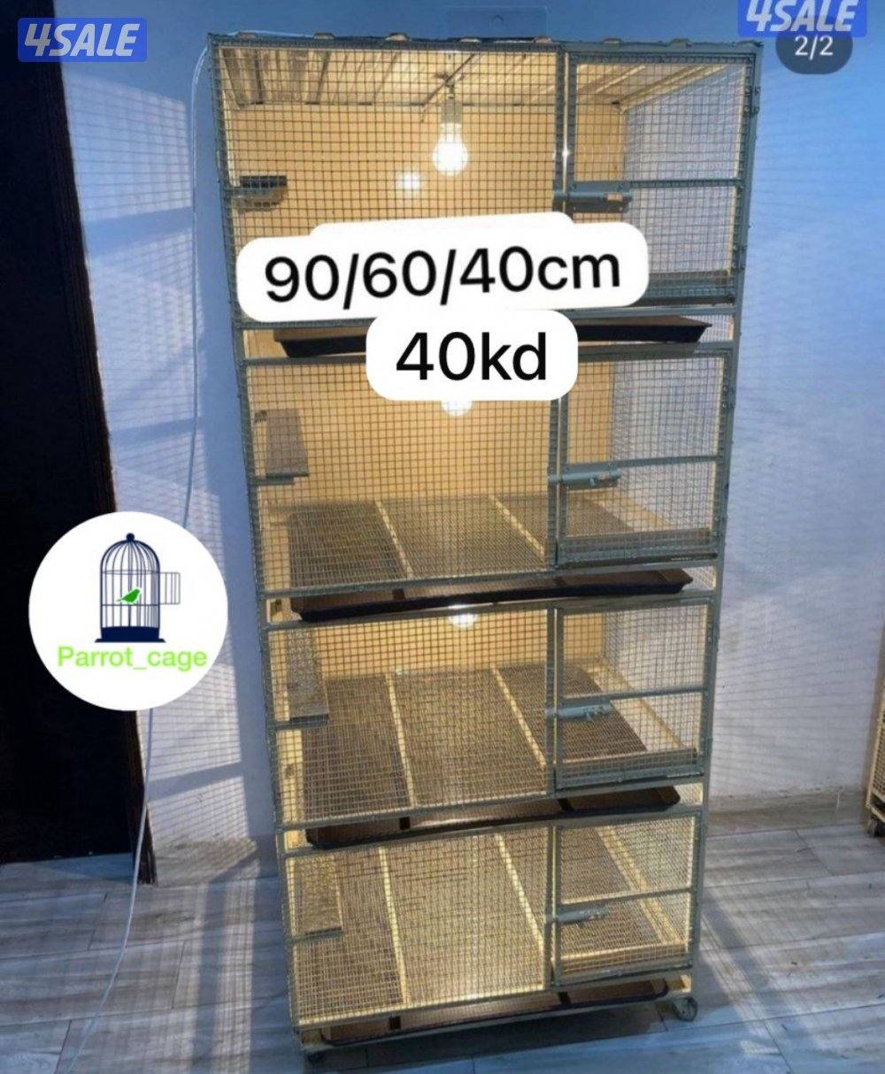 حضانة صيصان عالطلب7