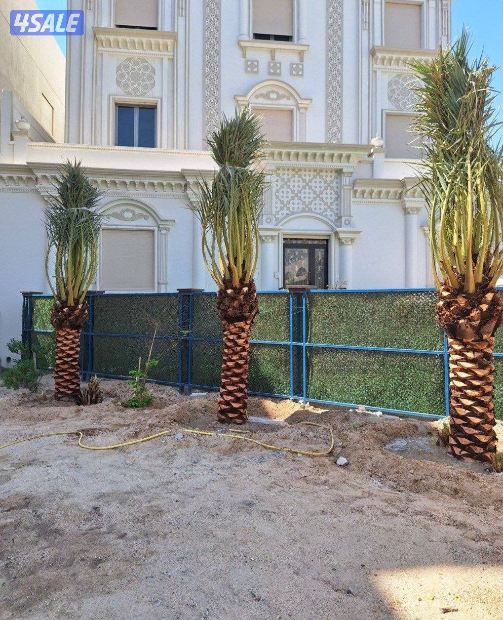 تنسيق حدائق وعمل شلالات ونوفير زراع التيل الطبيعي وتركيب التيل الصناع1