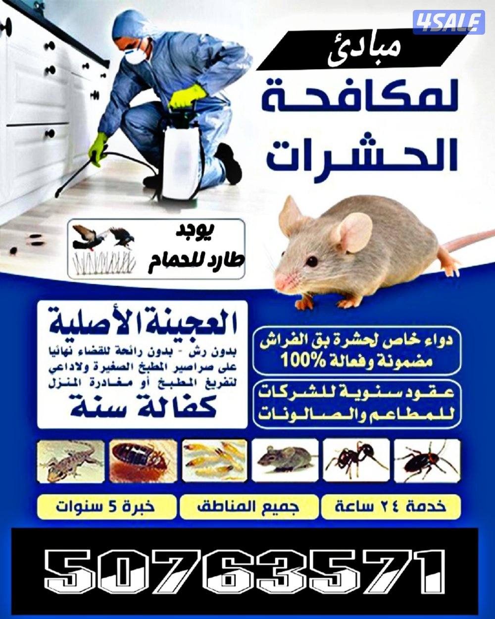 مكافحة حشرات0