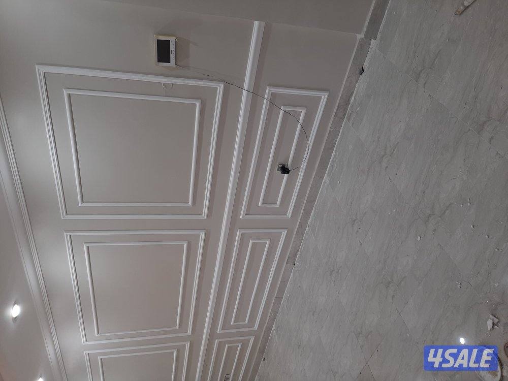 اصباغ خشب وطوفه باكستاني صبغ لكروناري4