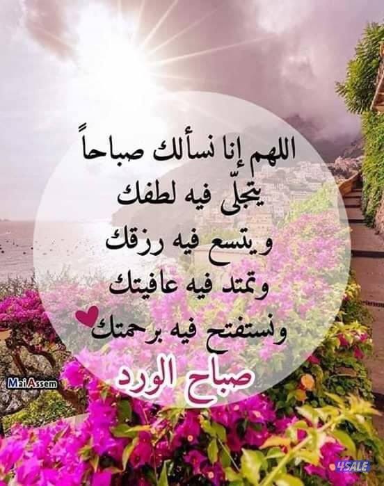 للايجار دور اول بخطان الجديده ٥غرف ٥حمام وصاله ومطبخ0