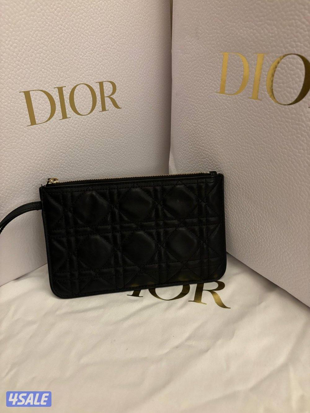 Dior toujours bag1