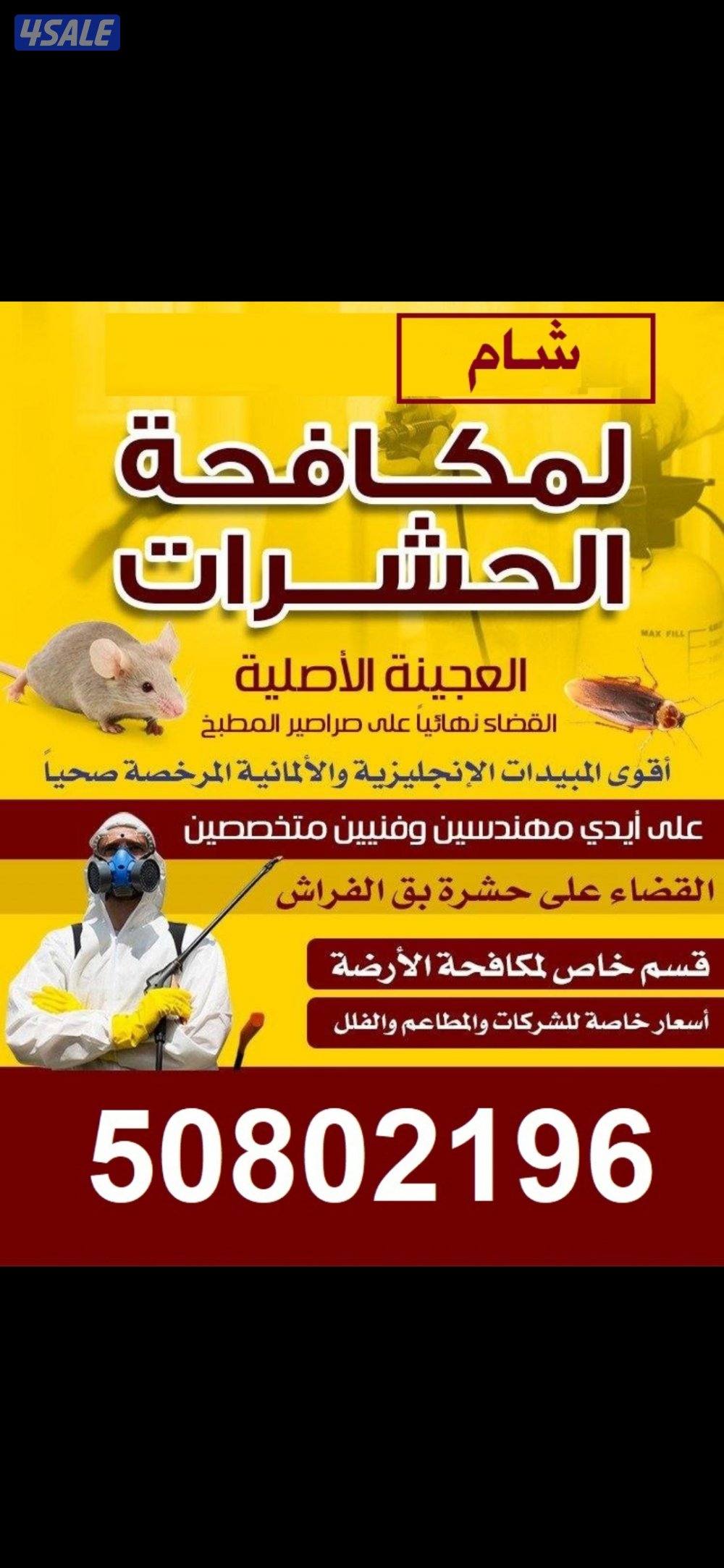 مكافحة حشرات وقوارض0