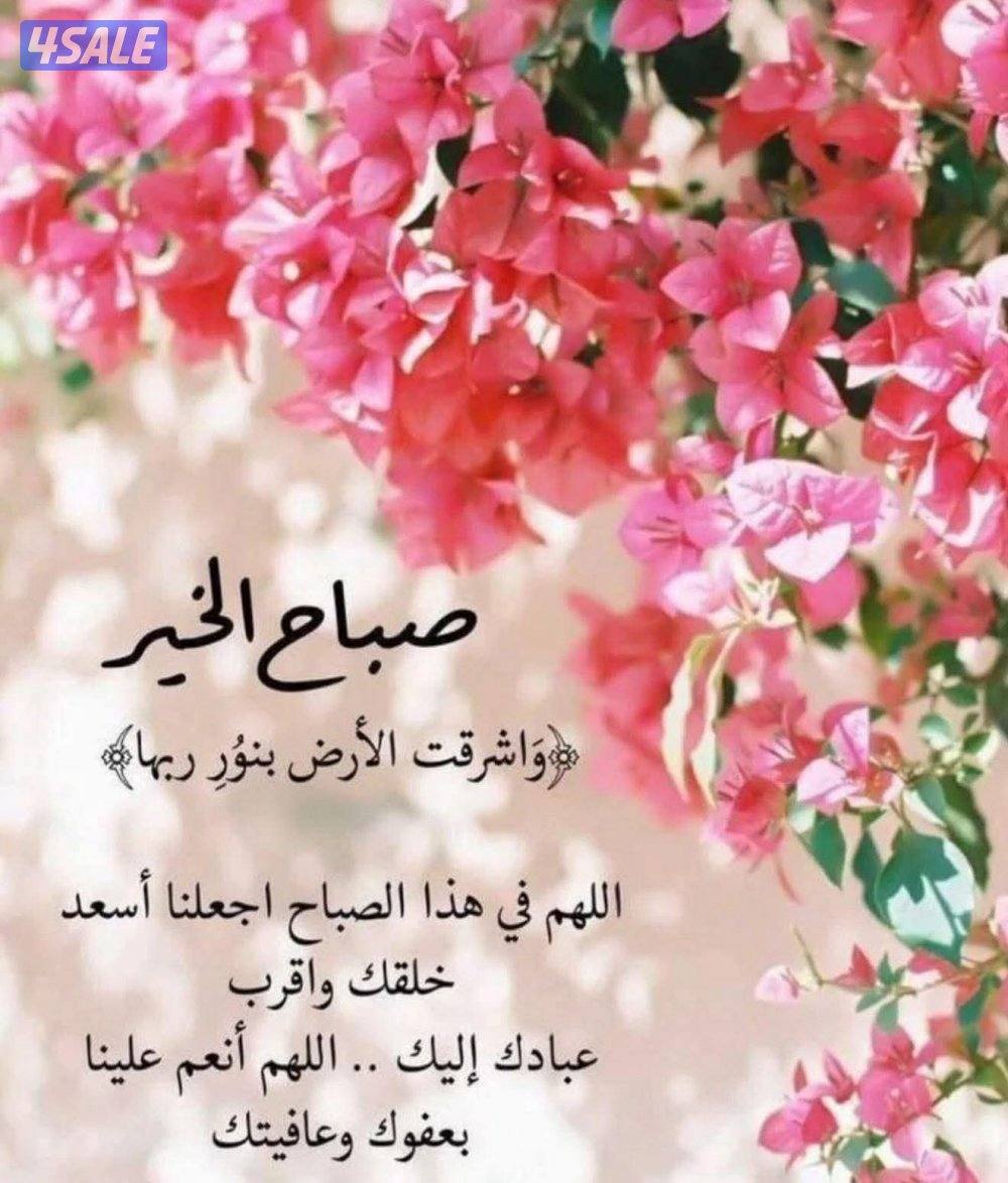 للايجار دور كامل بالمنقف ٣حمام صاله مطبخ للايجار ٥٠٠دك0