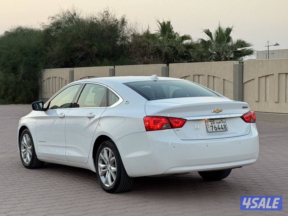 🔥صبغ وكالة Lt🔥4