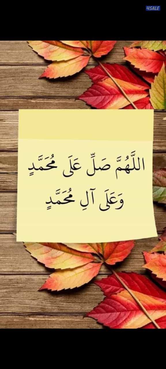 للإيجار قسايم و حكومى وشقق وأدوار بعموم مناطق الجهراء0