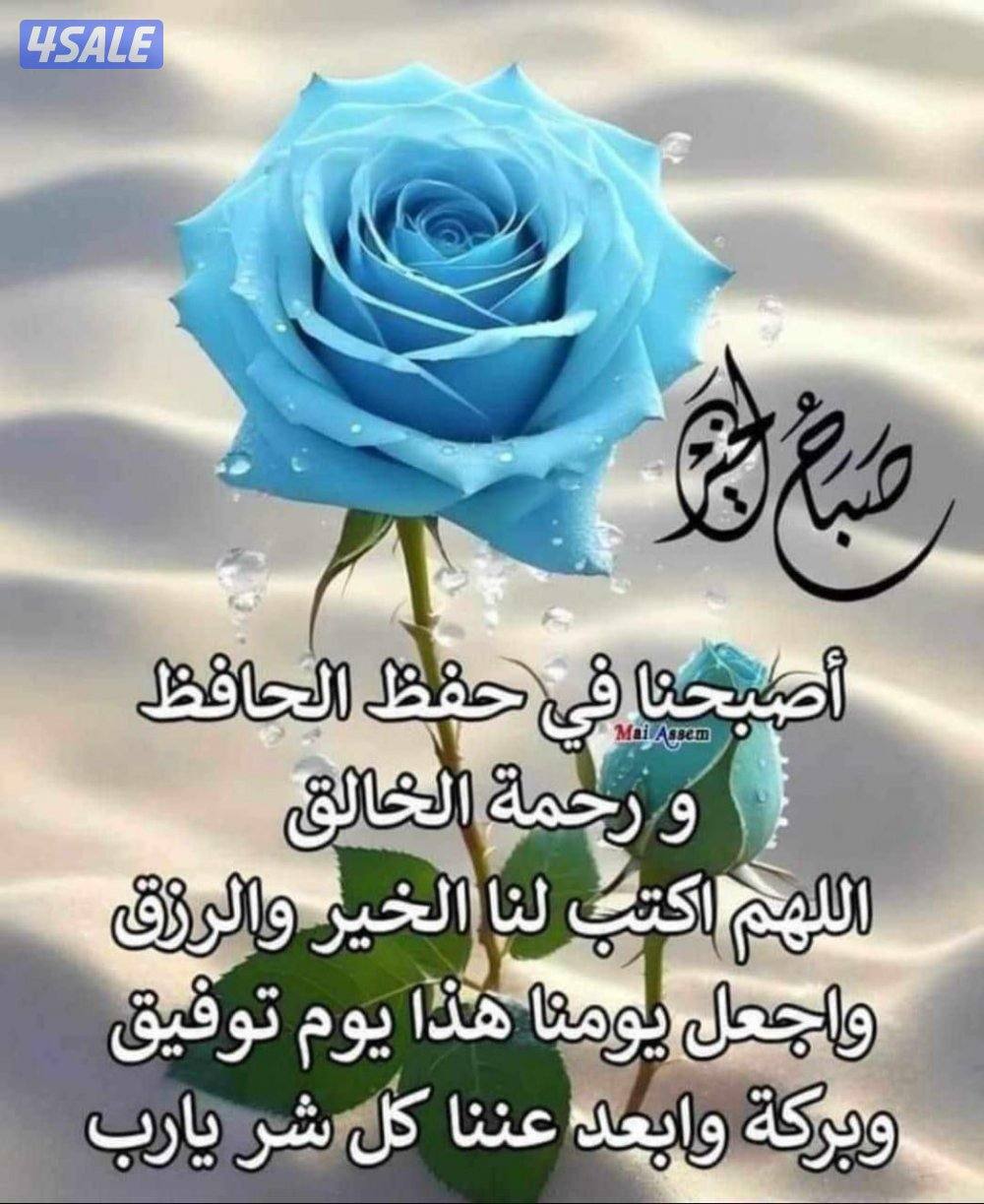 للايجار شقق جديده فى سلوى مع بلكونه0