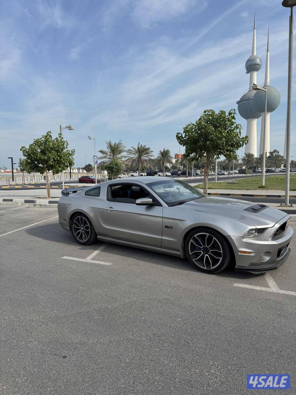 موستنق ٢٠١٣0