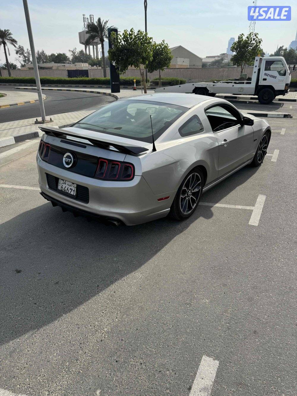 موستنق ٢٠١٣1