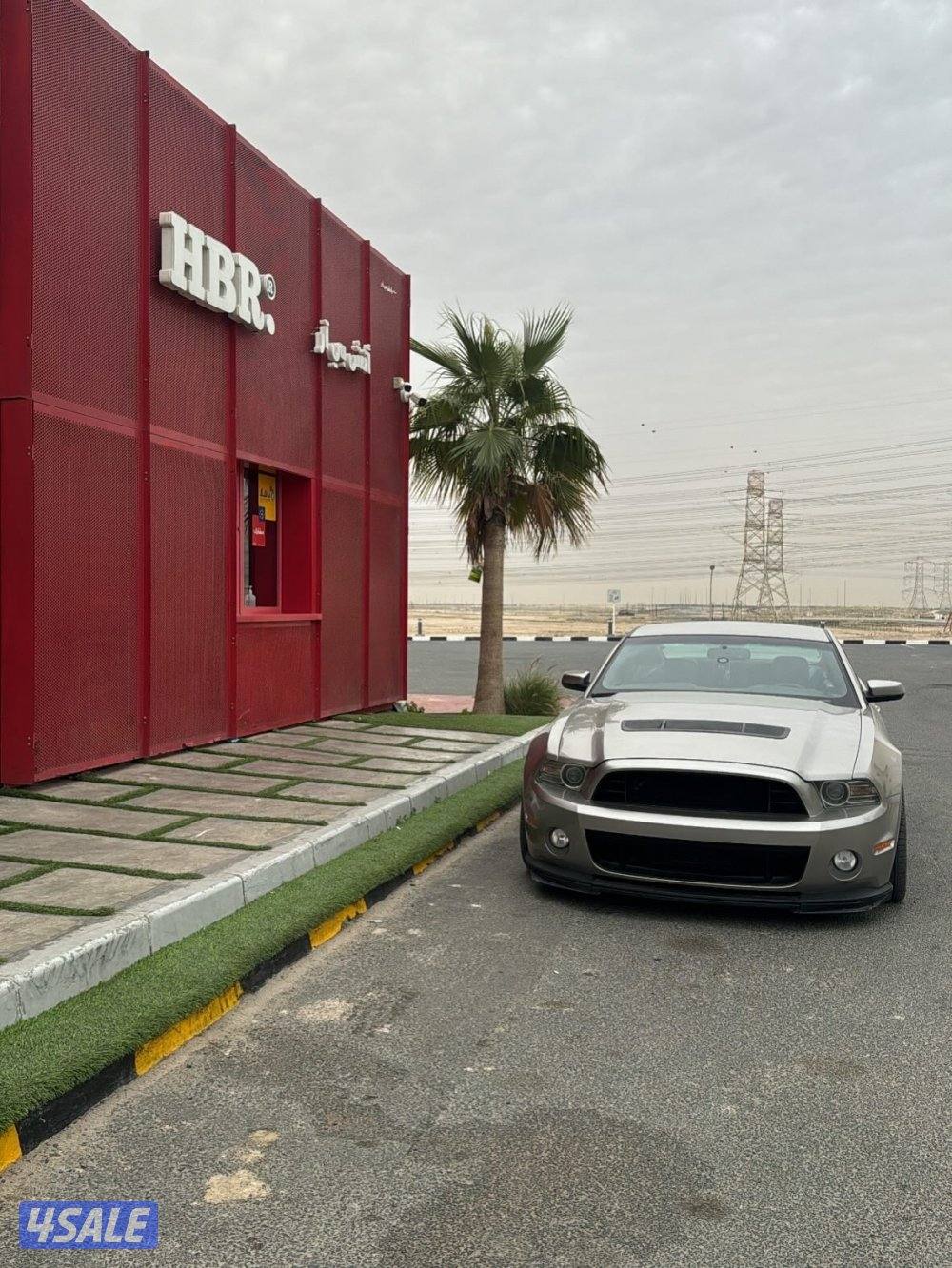 موستنق ٢٠١٣2