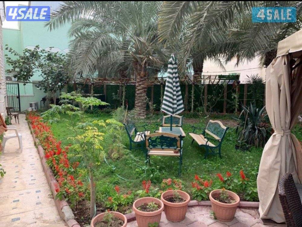 جواخير للبيع هجن الجهراء0