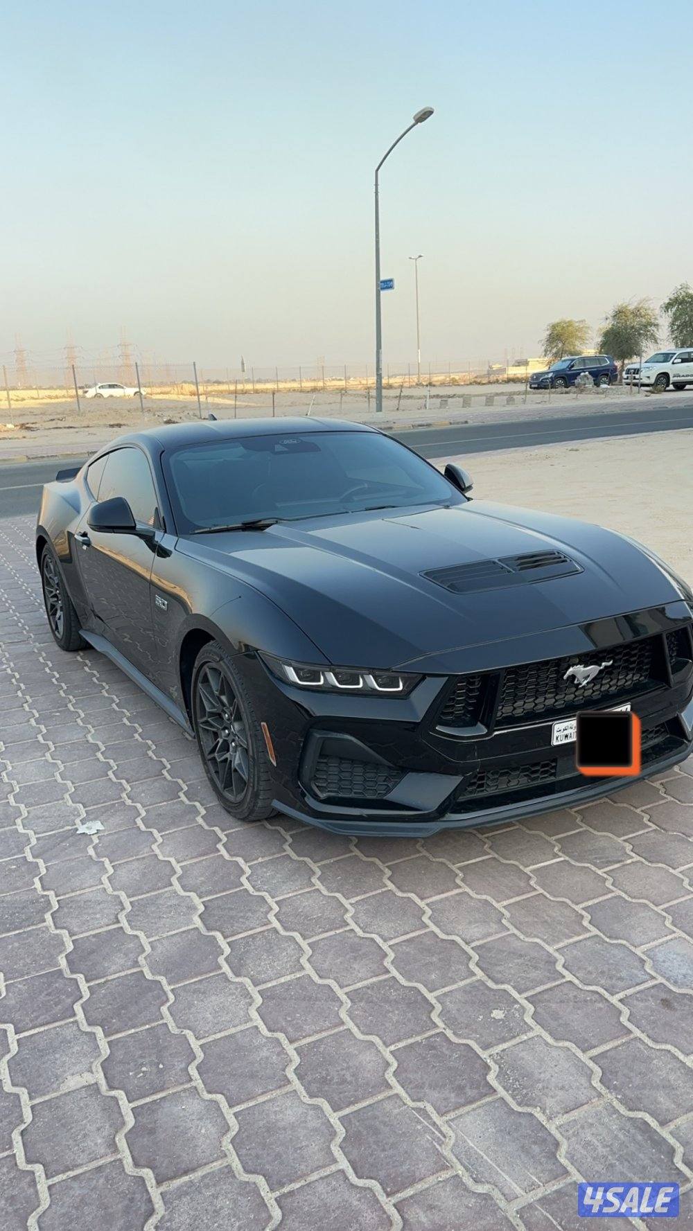 موستانج بروفورمنس 20240