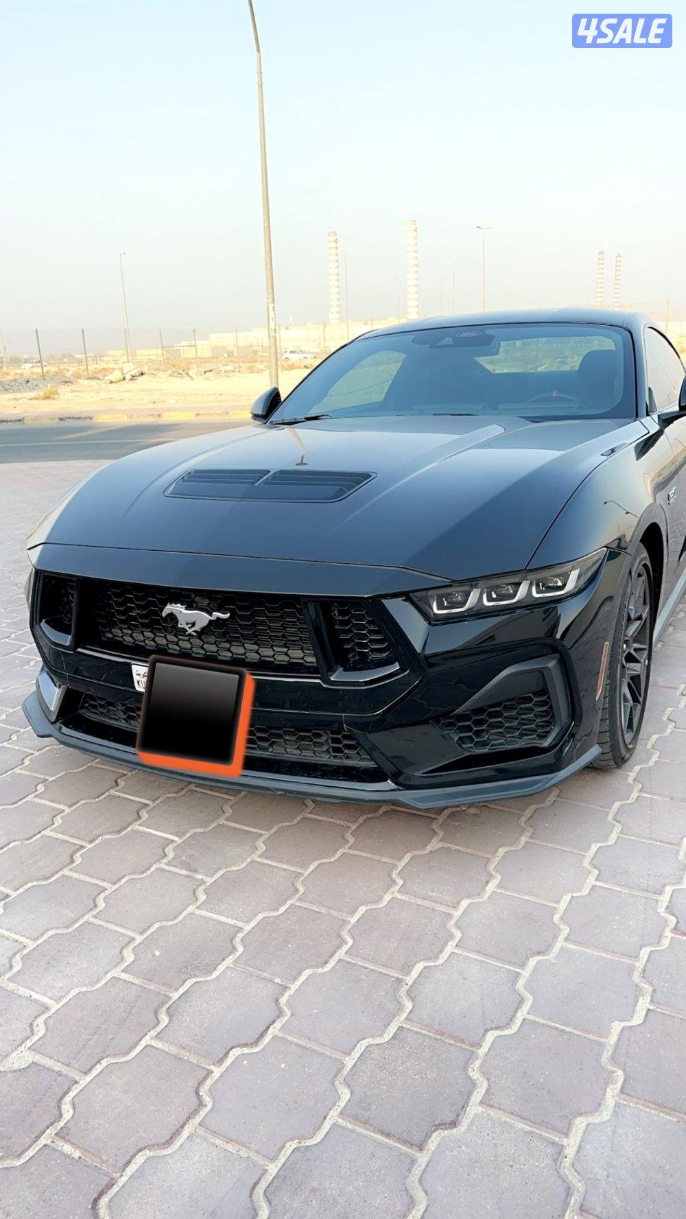 موستانج بروفورمنس 20245