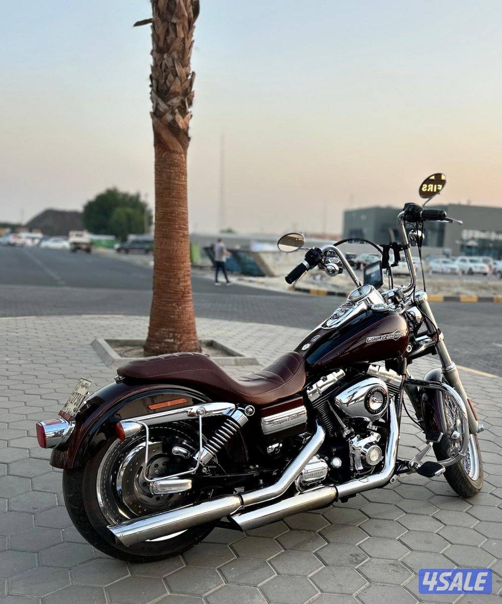 2011 Harley Davidson Dyna super Glide1