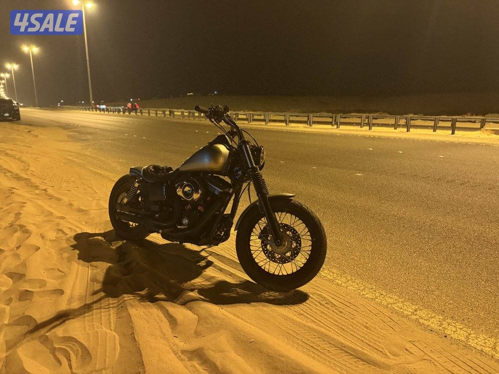 2013 Harley Davidson Dyna Street bob FXDB3