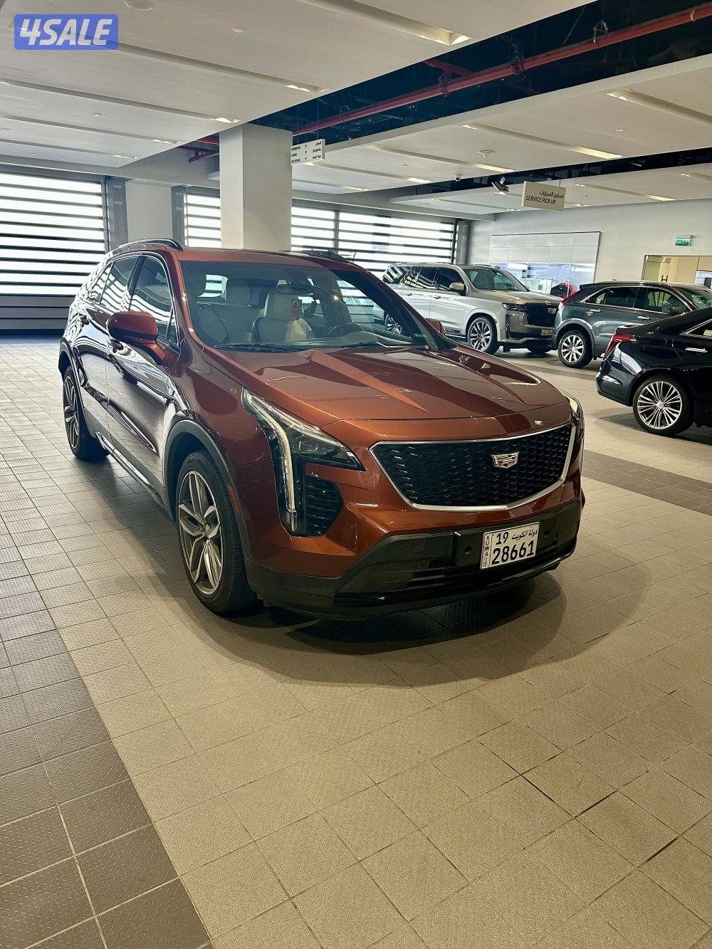 2019 All Original “Sport&Full” Option0