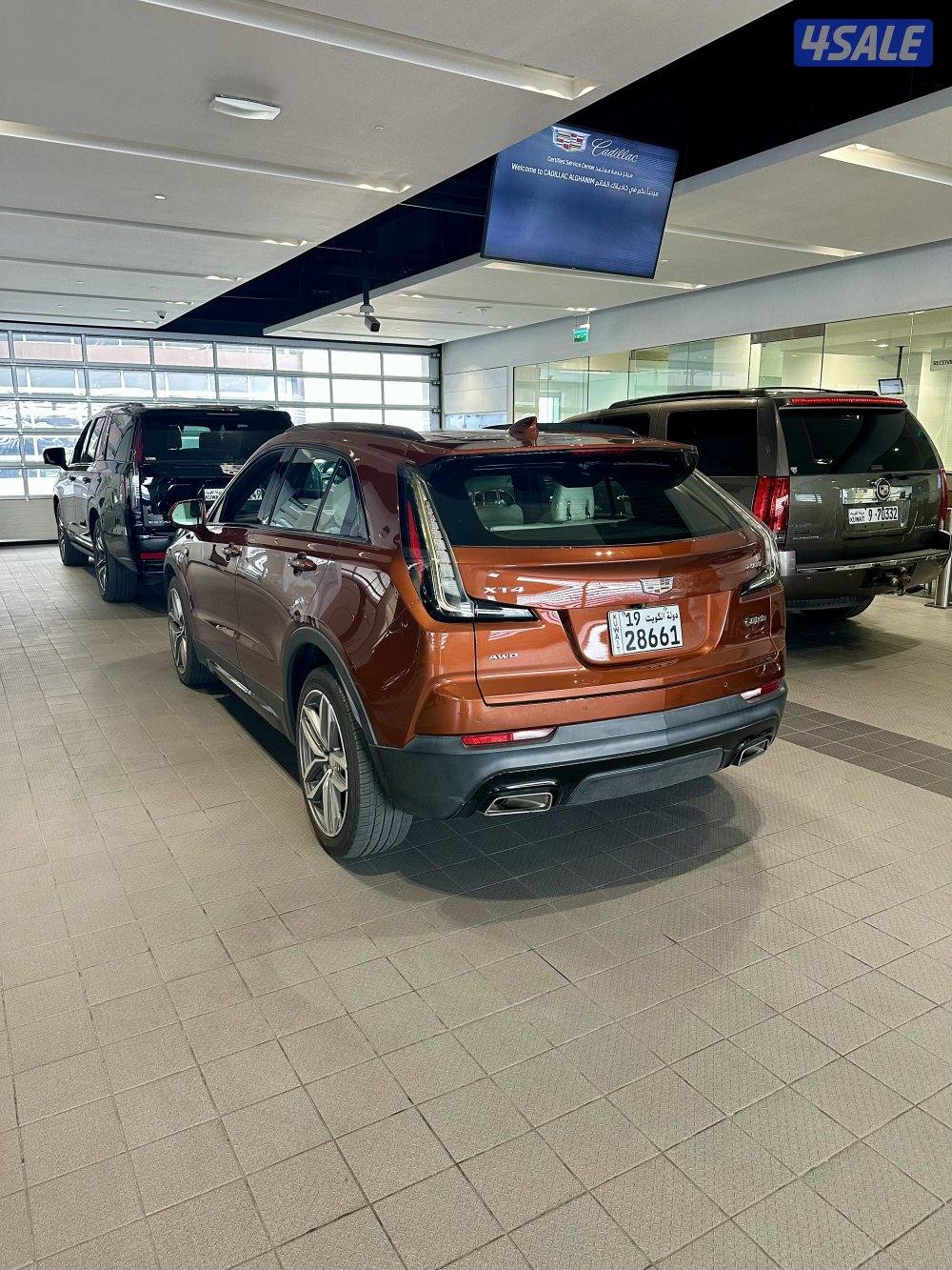 2019 All Original “Sport&Full” Option3