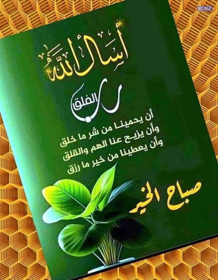 للايجار فيلا فى المنقف0