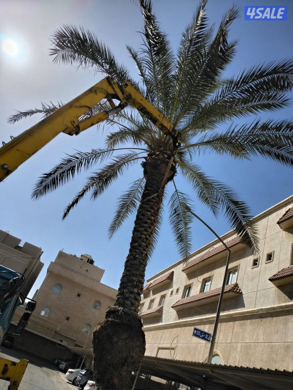 علی ابو حسين الاهوازي /تکریب/تنظيف/زراعه و نقل النخيل بيع و شرا ضمان0