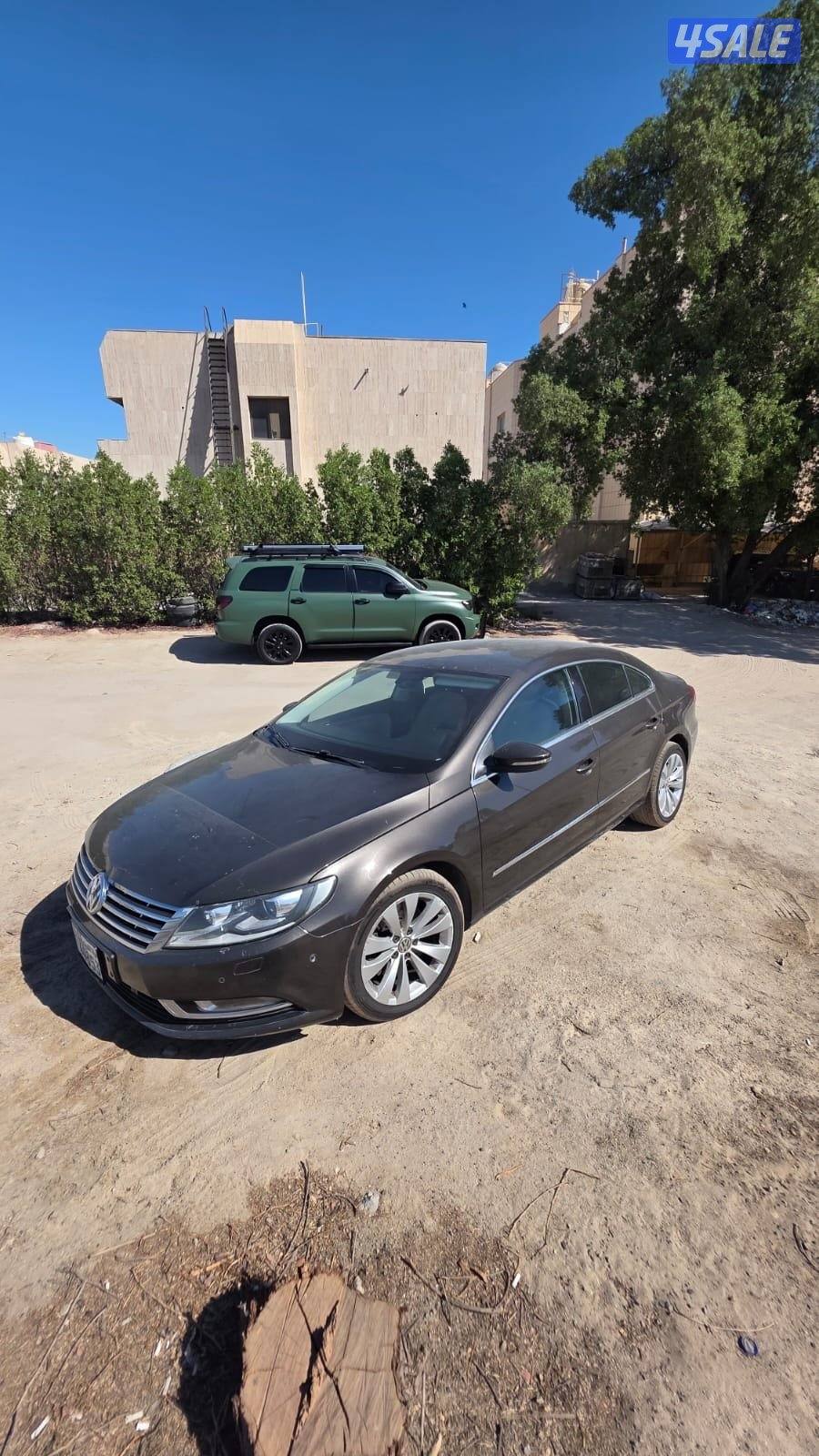 للبيع باسات. 20160