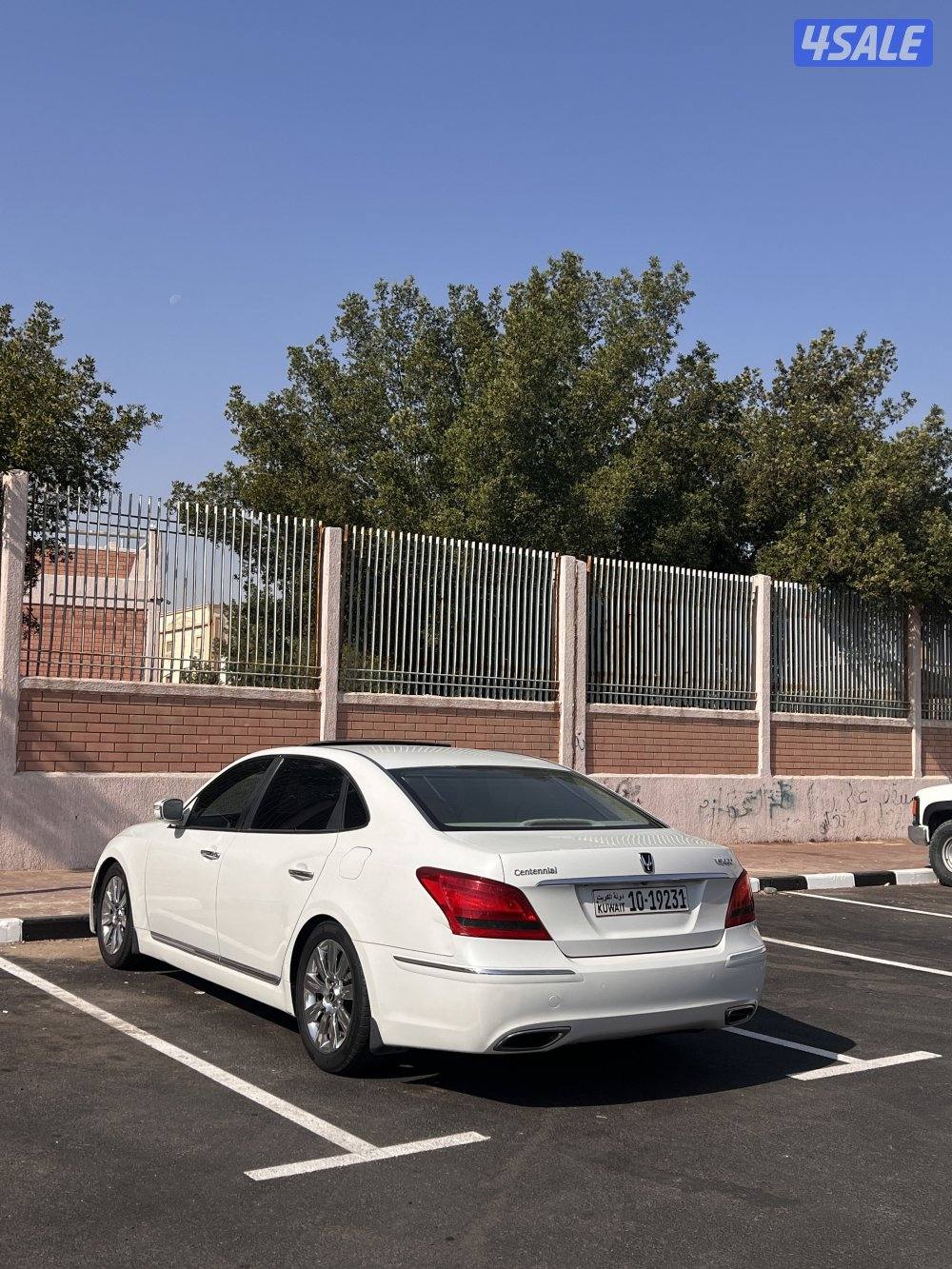 سنتيال وارد الوكالة V84