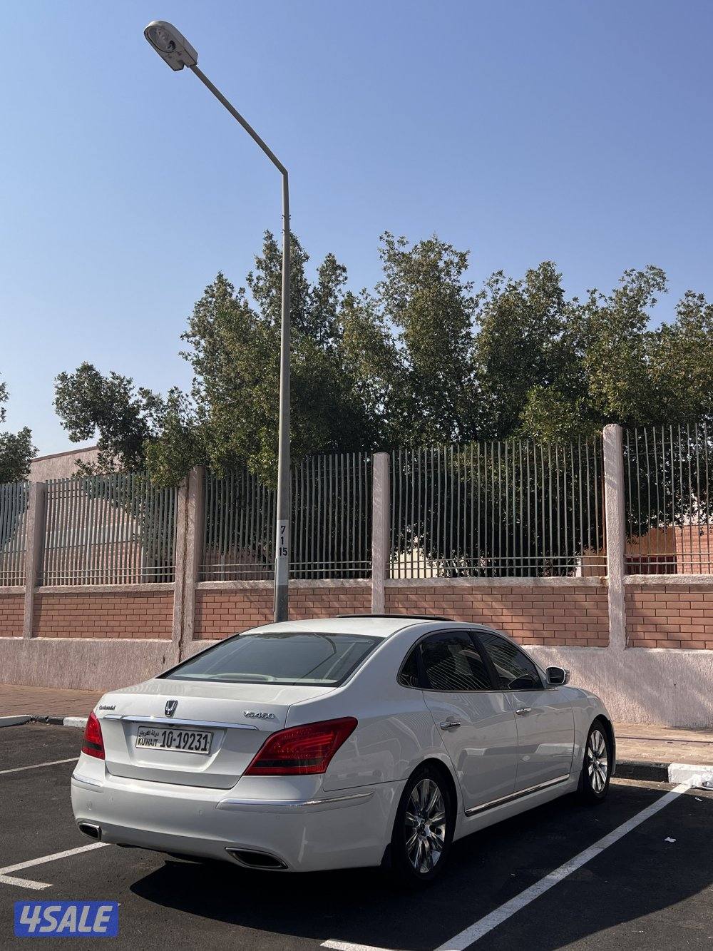 سنتيال وارد الوكالة V85