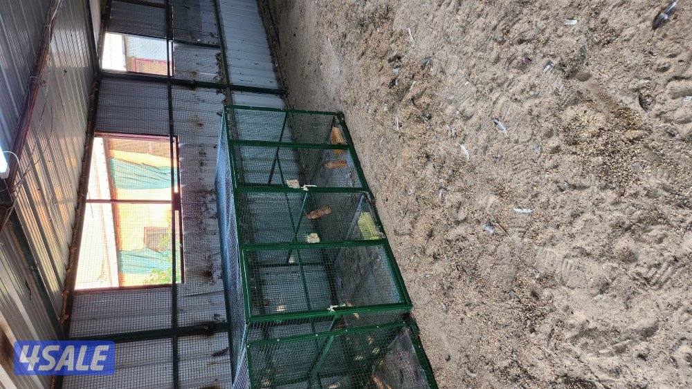 للبيع خانات2